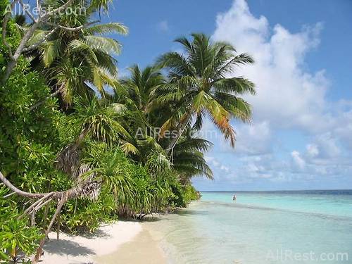 Vilamendhoo Island Resort 10